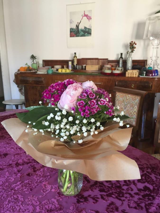ترييستي Dai Muli B&B المظهر الخارجي الصورة